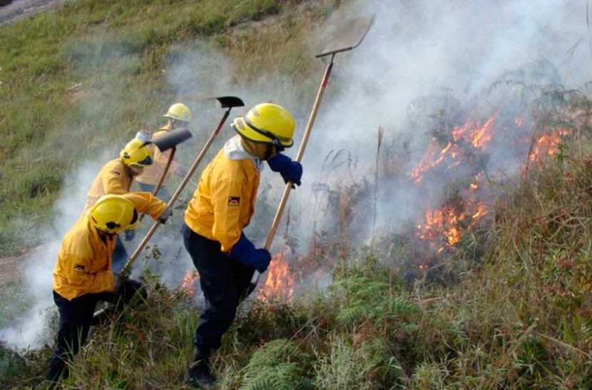 Nota de Prensa ACFIMAN: Incendios forestales en Venezuela: mitos y realidades