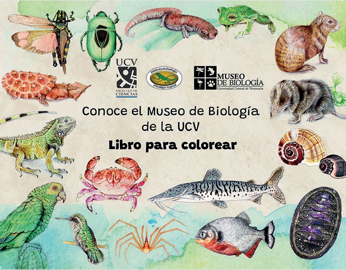 Libro para colorear