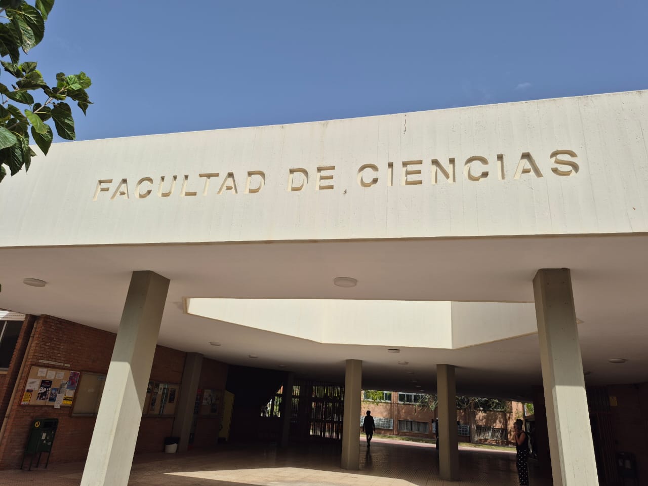 El Decano Dr. Ernesto Fuenmayor Di Prisco establece convenios con la Universidad de Alicante como parte de su estancia de investigación