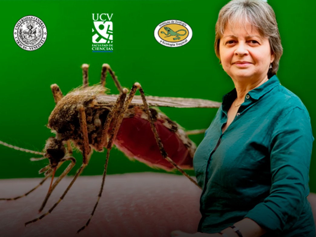 Dra Grillet malaria destacada