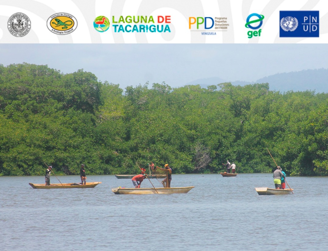 Inició el proyecto de ecoturismo para la conservación de la biodiversidad y mejora de medios de vida en Tacarigua de la Laguna