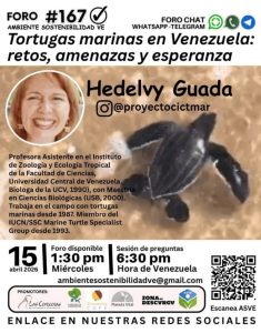 Foro chat «Tortugas marinas en Venezuela: retos, amenazas y esperanza»