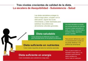 Dra. María Soledad Tapia: en escenarios de emergencia, las calorías y la inocuidad alimentaria son las que cuentan