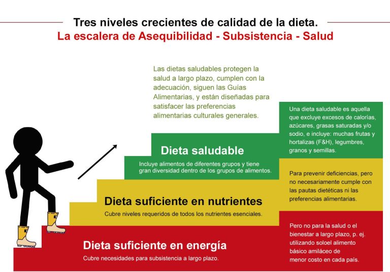 Dra. María Soledad Tapia: en escenarios de emergencia, las calorías y la inocuidad alimentaria son las que cuentan