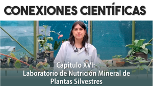 Conexiones Científicas. Capítulo XVI – Laboratorio de Nutrición Mineral de Plantas Silvestres