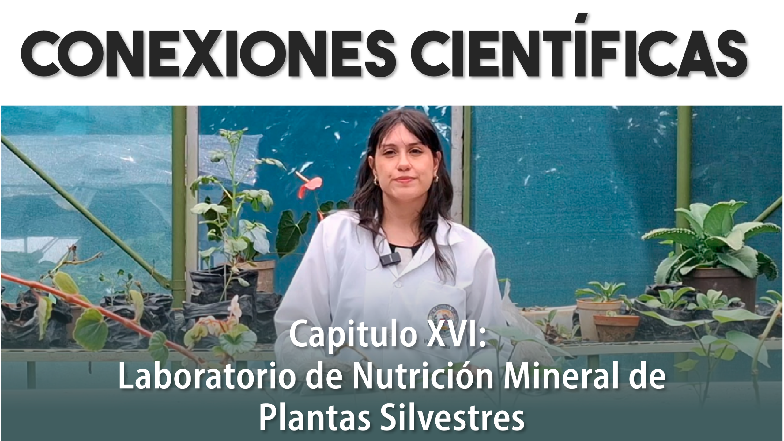 Conexiones Científicas. Capítulo XVI – Laboratorio de Nutrición Mineral de Plantas Silvestres